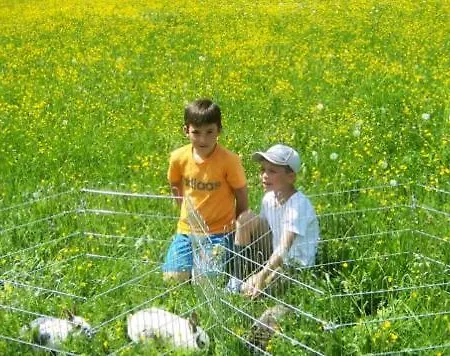 Jugendgaestehaus Gosauschmied 2*