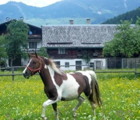 Jugendgaestehaus Gosauschmied בית הארחה