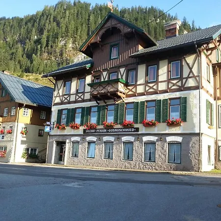 בית הארחה Jugendgaestehaus Gosauschmied 2*