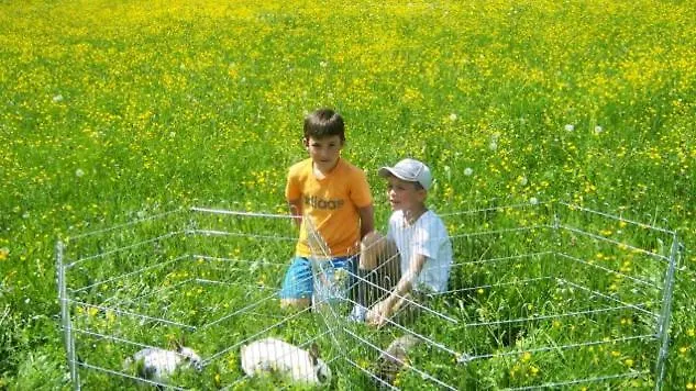 Jugendgaestehaus Gosauschmied 2*